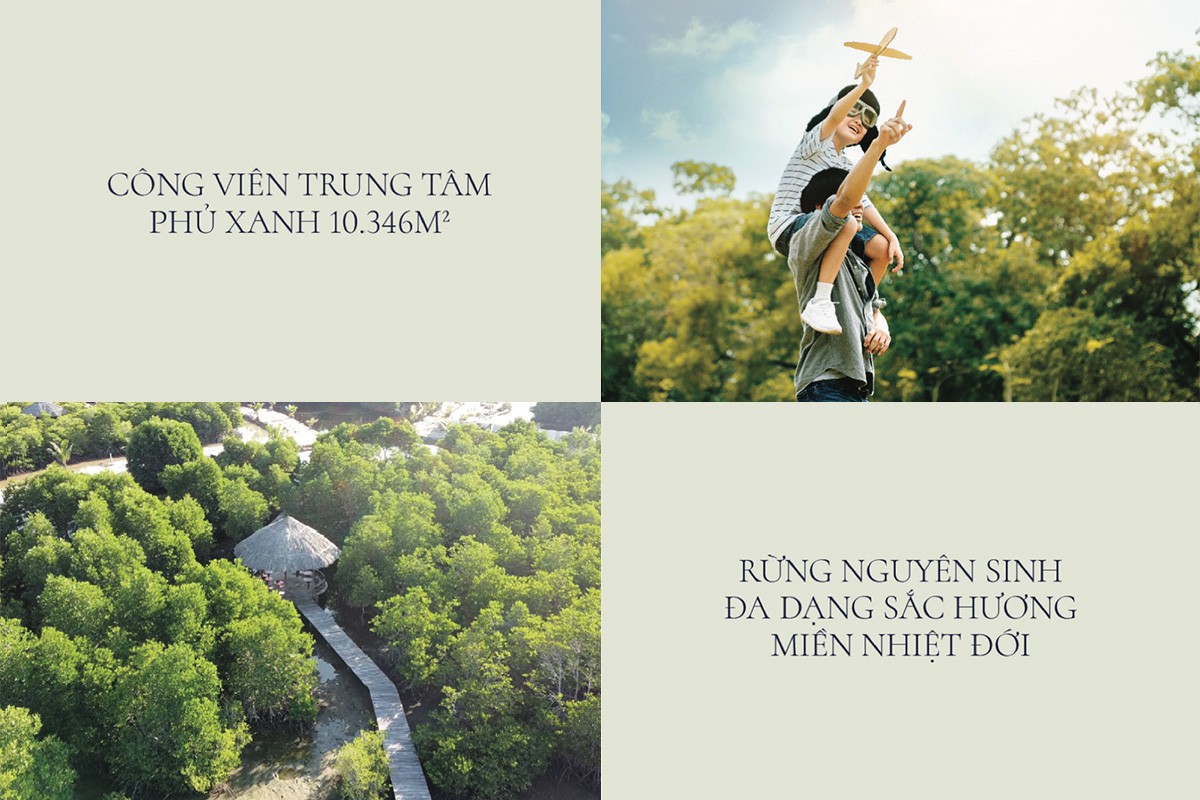 hinh_cong_vien